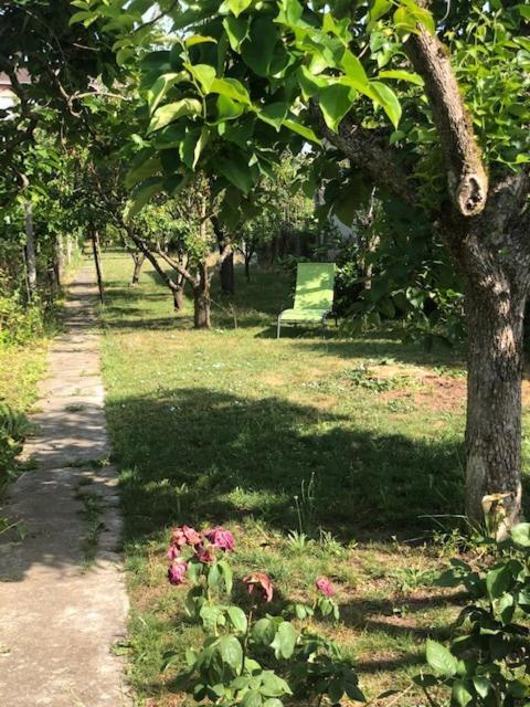 Chez Carmen Villa Albi Ngoại thất bức ảnh
